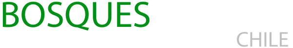 Nombre Oscuroplanta