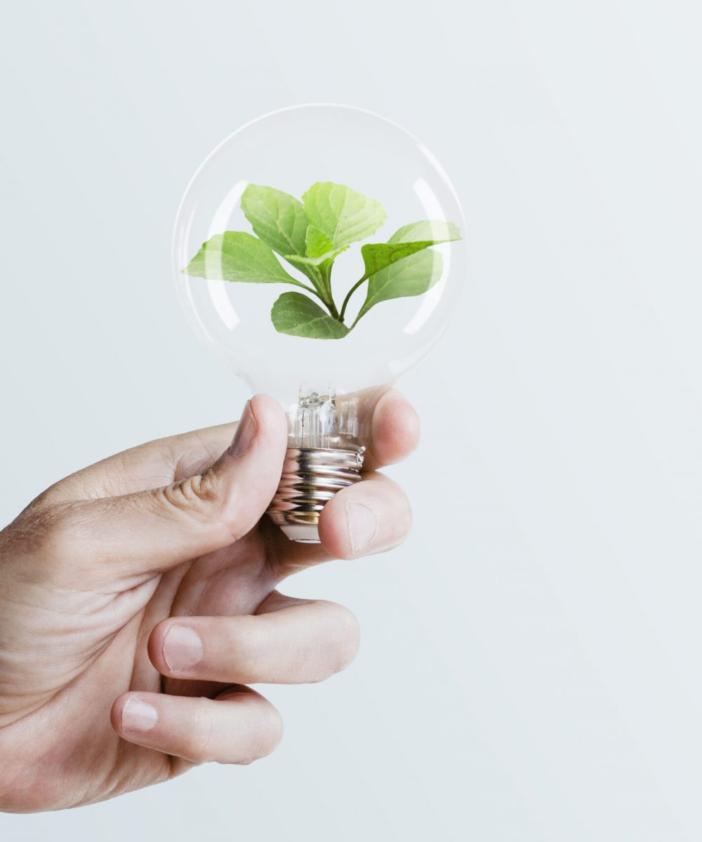 Sustainable energy campaign hand holding tree light bulb media remix